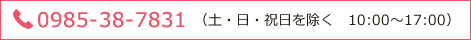 電話番号 0985-38-7831